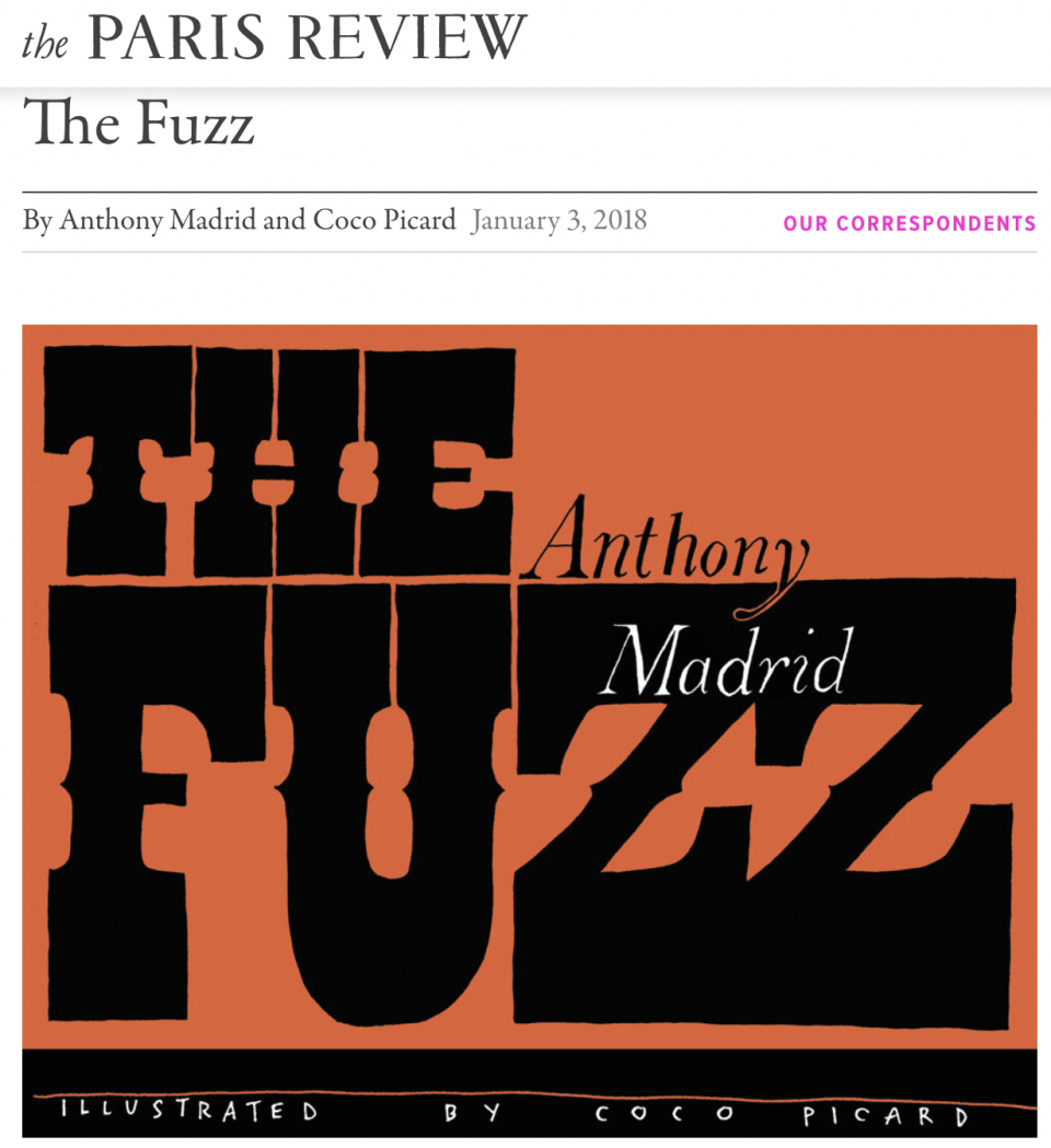 The Fuzz